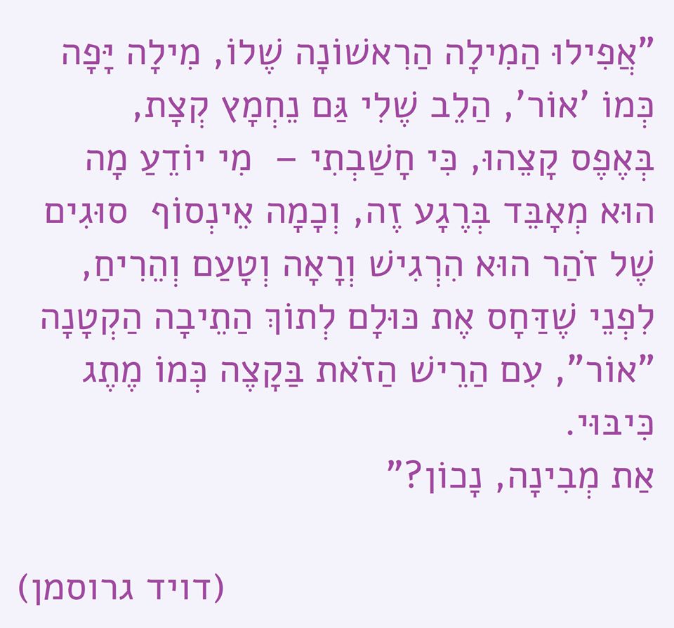 מילה יפה כמו אור
